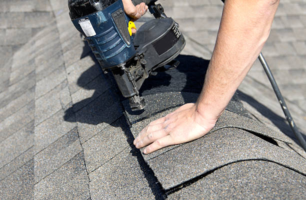 Best Roof Moss and Algae Removal  in , AR