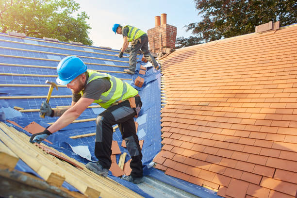 Best Sheet Metal Roofing  in , AR